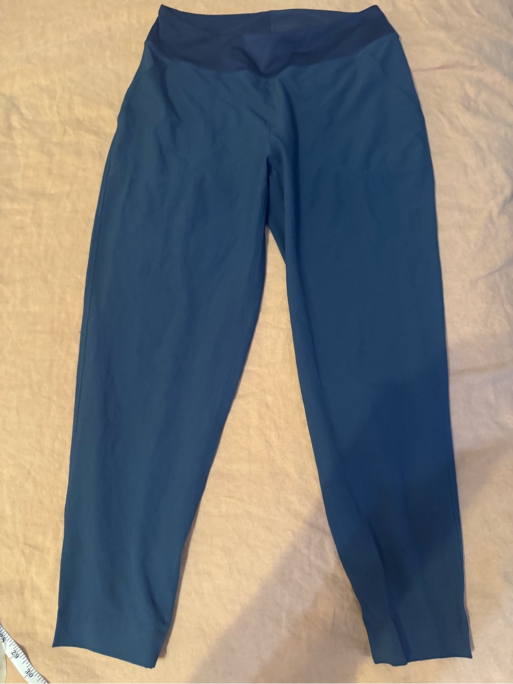 Patagonia Women's Blue Track Joggers